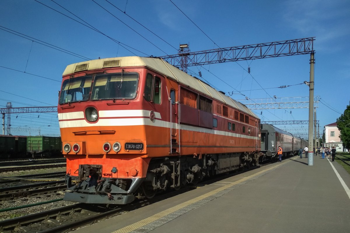 Питер до Губкина на поезде