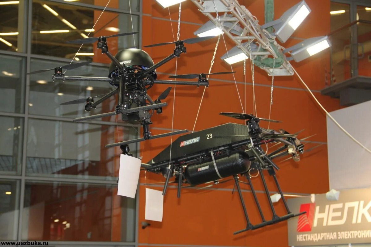 Кассандра со НЕЛК