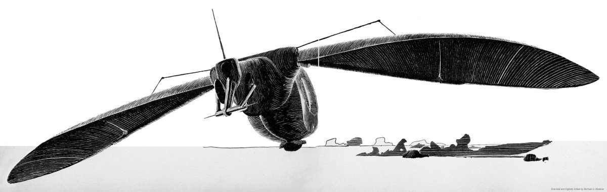 Орнитоптер Дюна