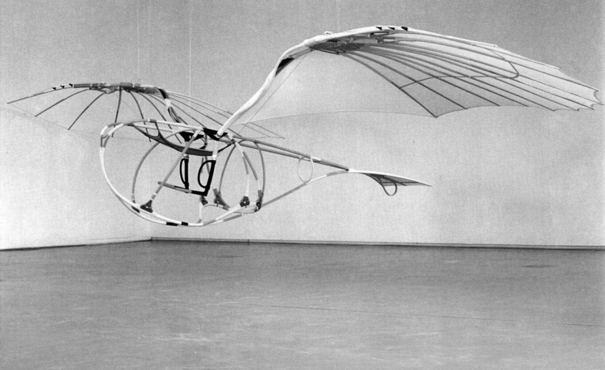 Летательный аппарат Летатлин