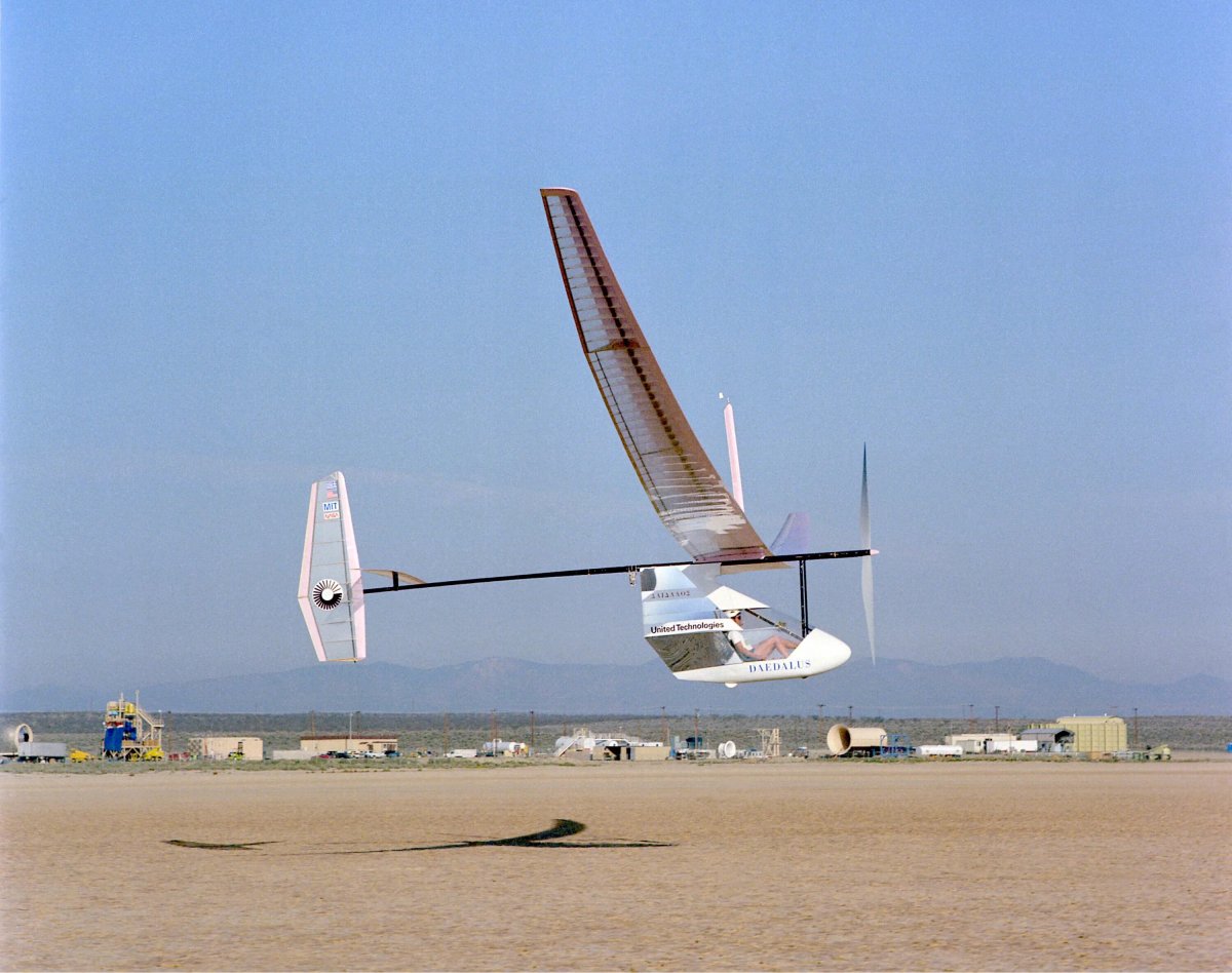 Daedalus 88