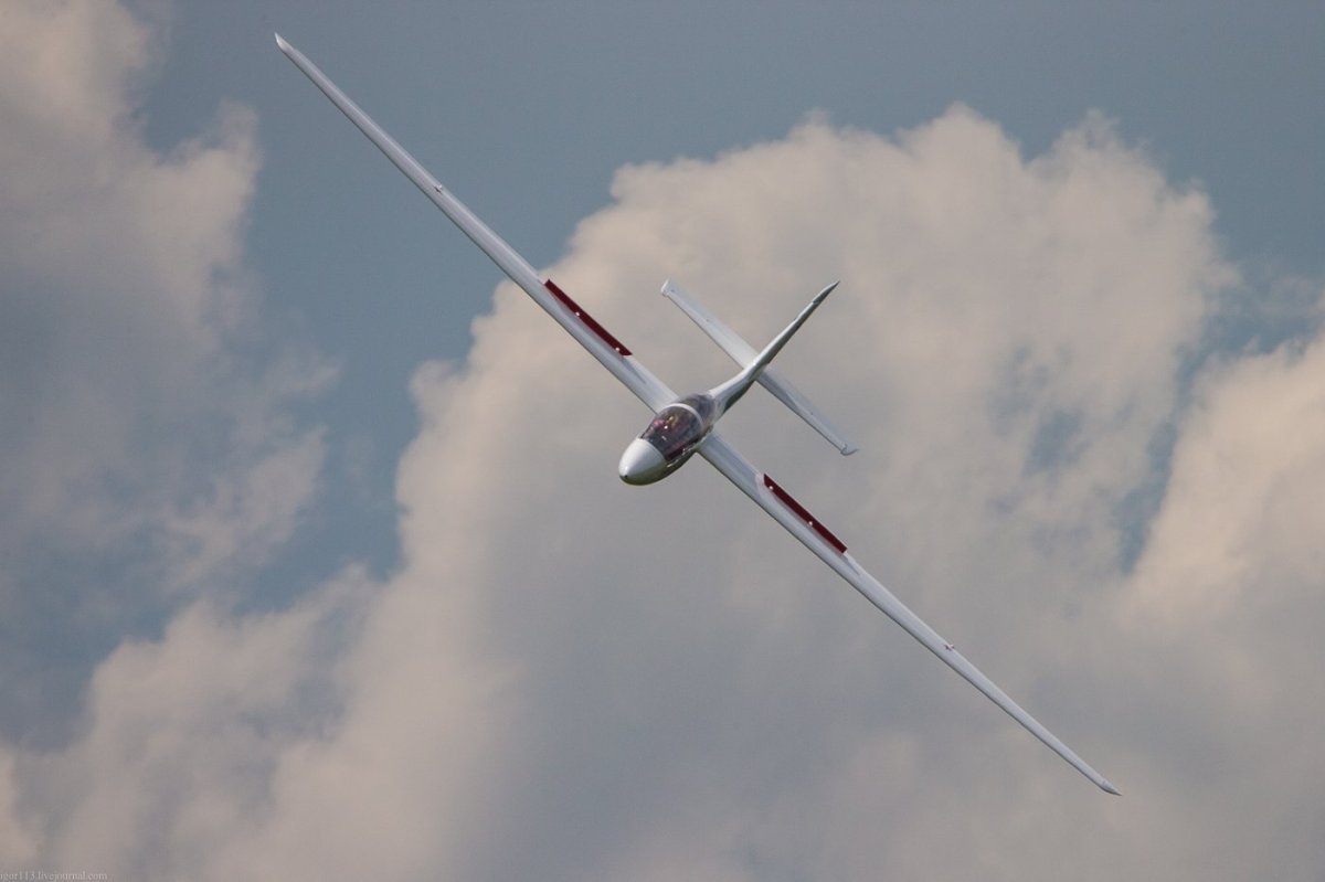 Винглеты на планере