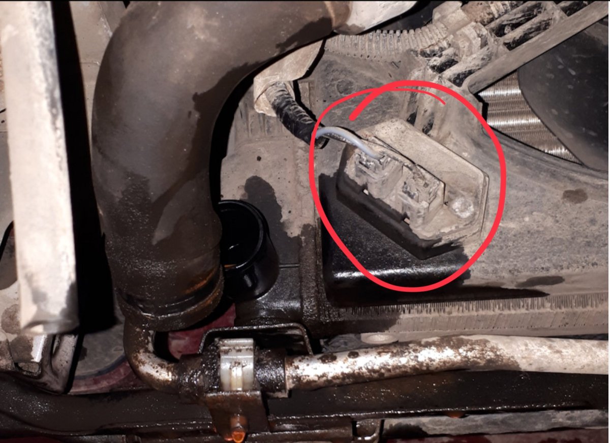 Фиат 250 сливная пробка антифриза