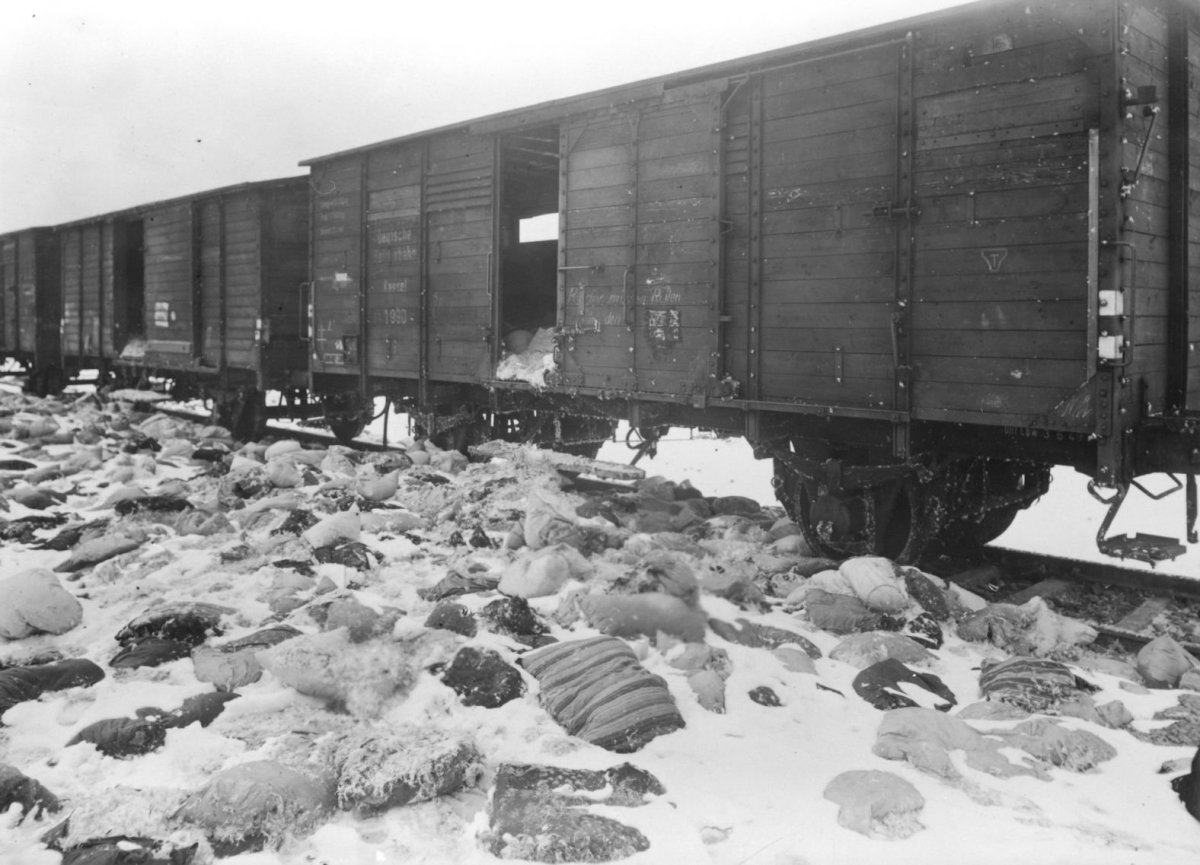 Узники Освенцима в вагонах