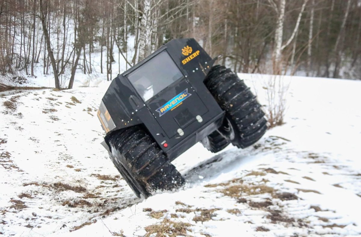 Шерп Макс габариты