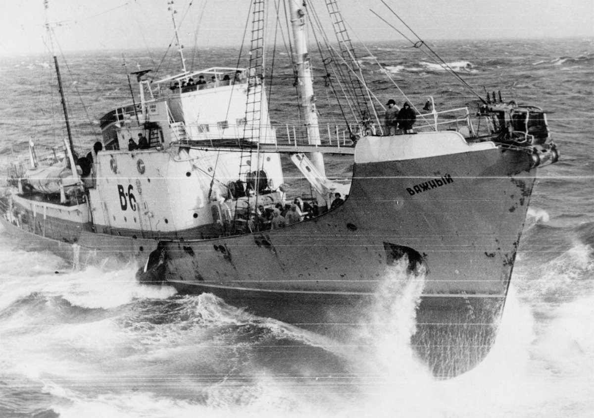 Китобойная флотилия СССР