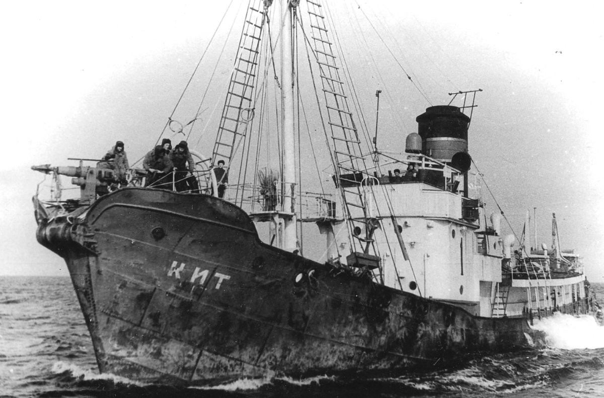 Китобойная флотилия Владивосток