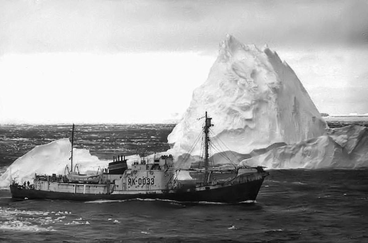 Юрий Долгорукий Китобойная база