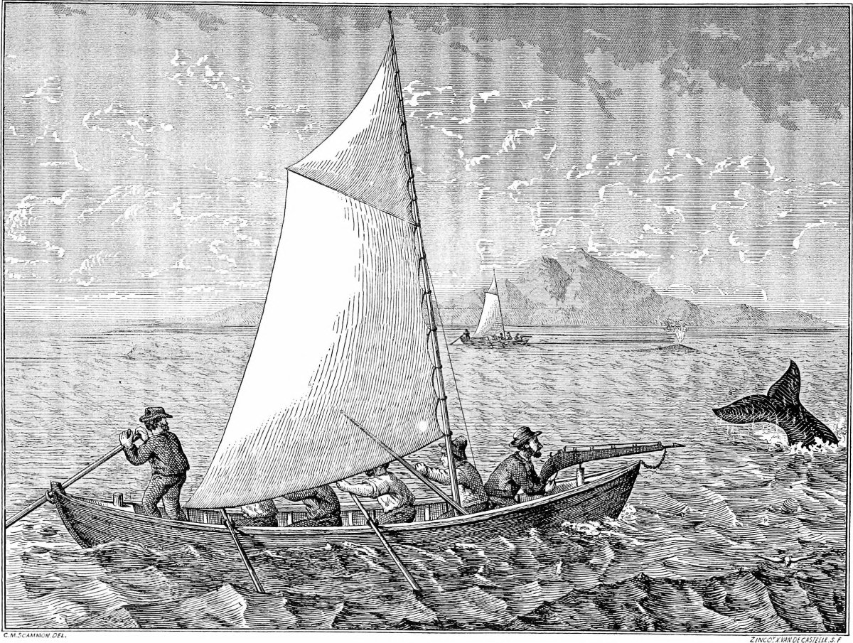 Вельбот 19 век