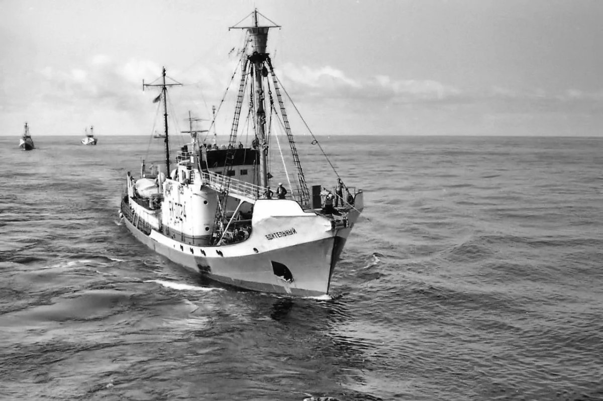 Китобойцы судно