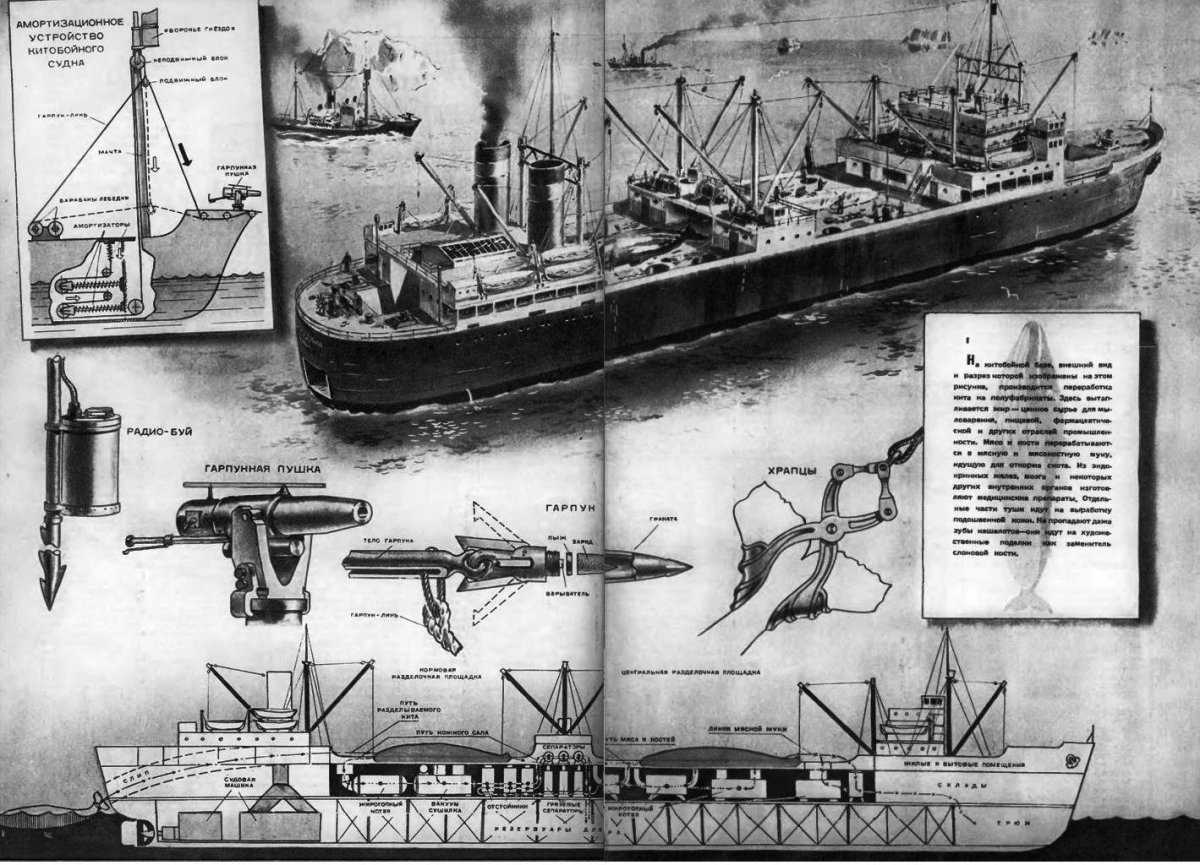 Китобойное судно
