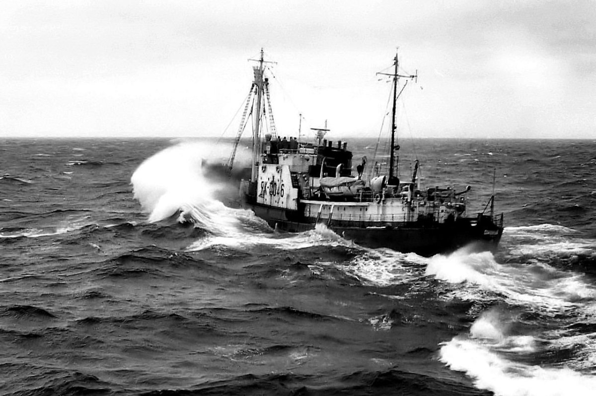 Китобойная флотилия Советская Украина