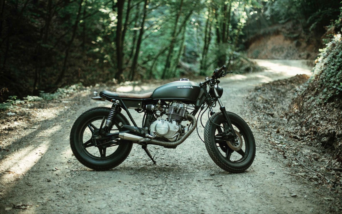 Альфа кафе рейсер