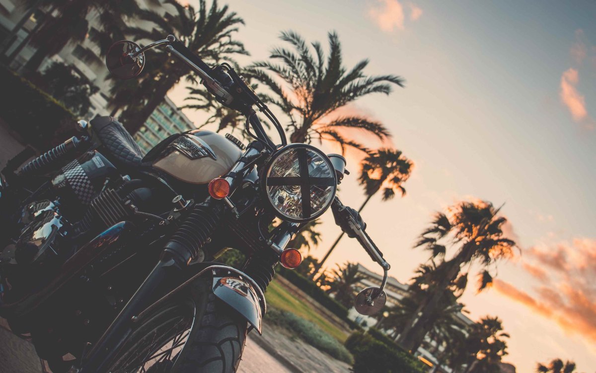 Мотоцикл и пальмы