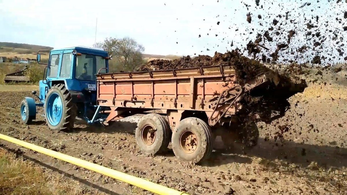 МТЗ-80 + Роу-6