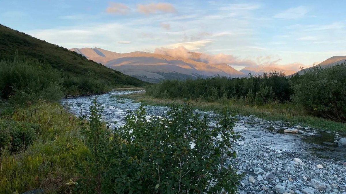 Харбей поселок