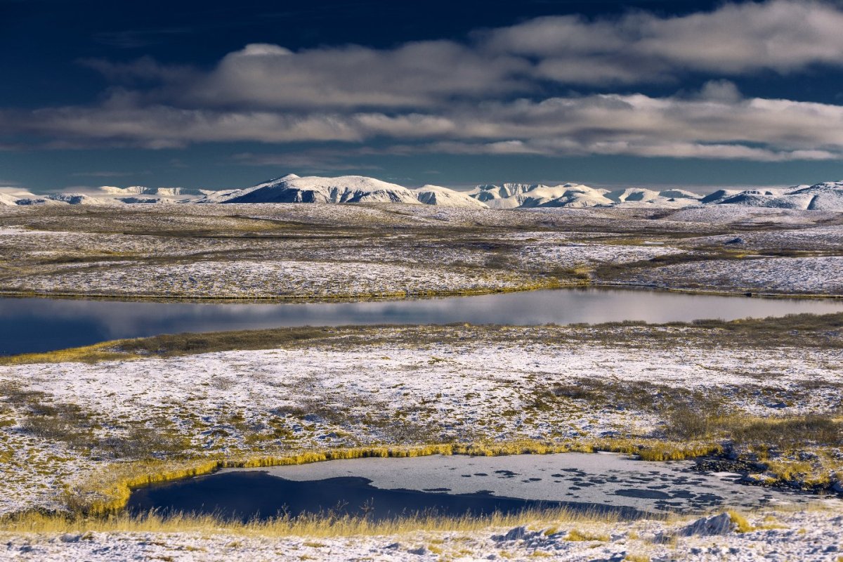 Север Чукотка