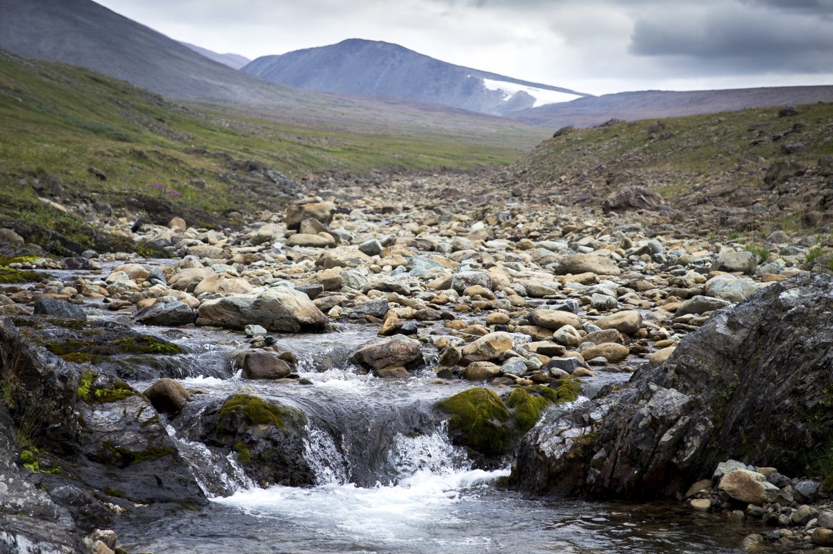 Река Кечпель