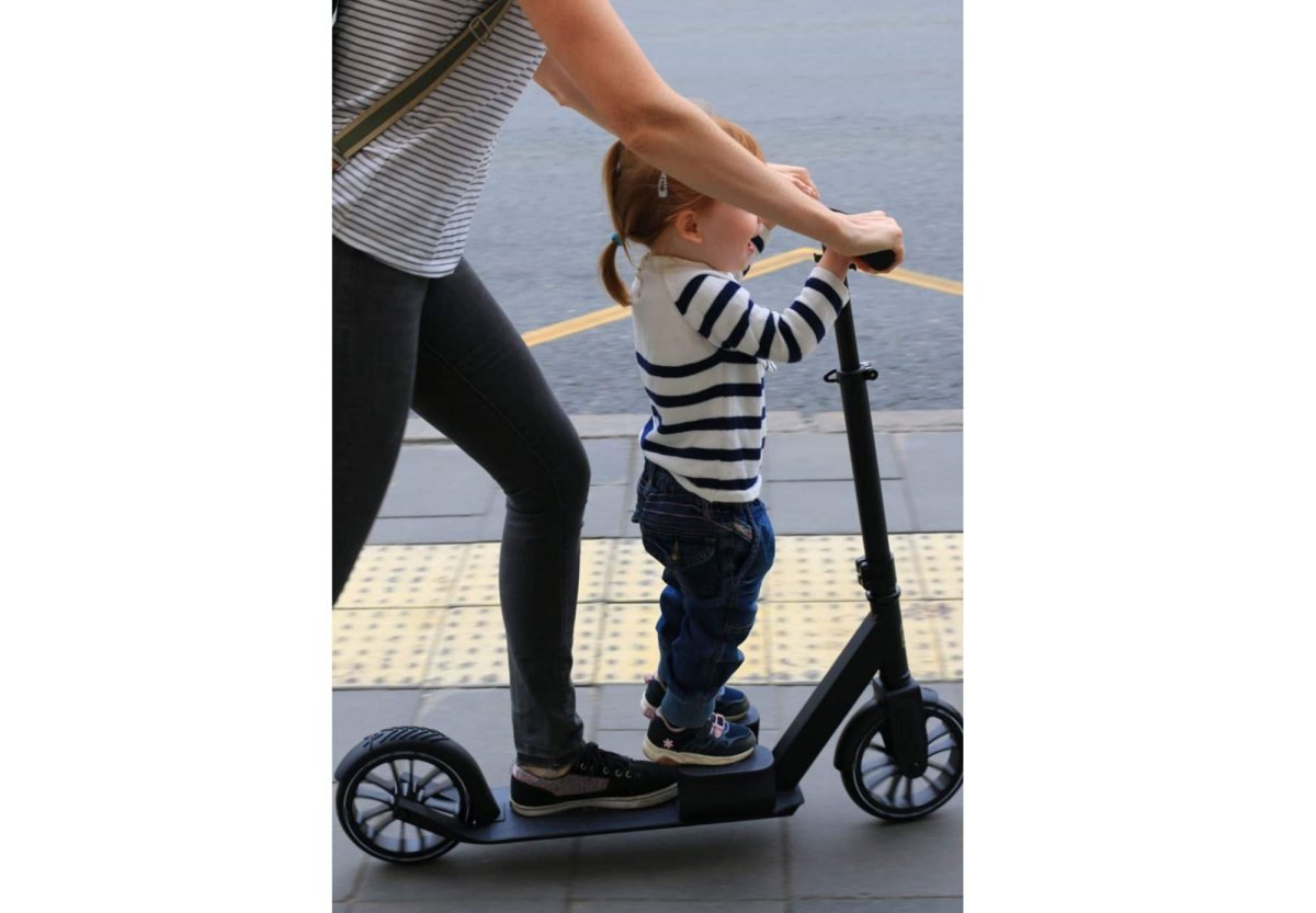 Шульц 200 с подножкой