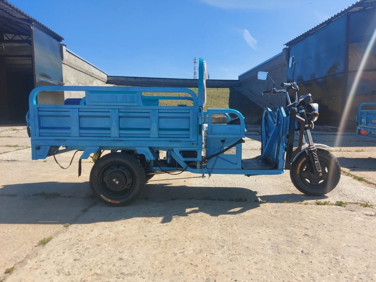 Грузовой трицикл Термит