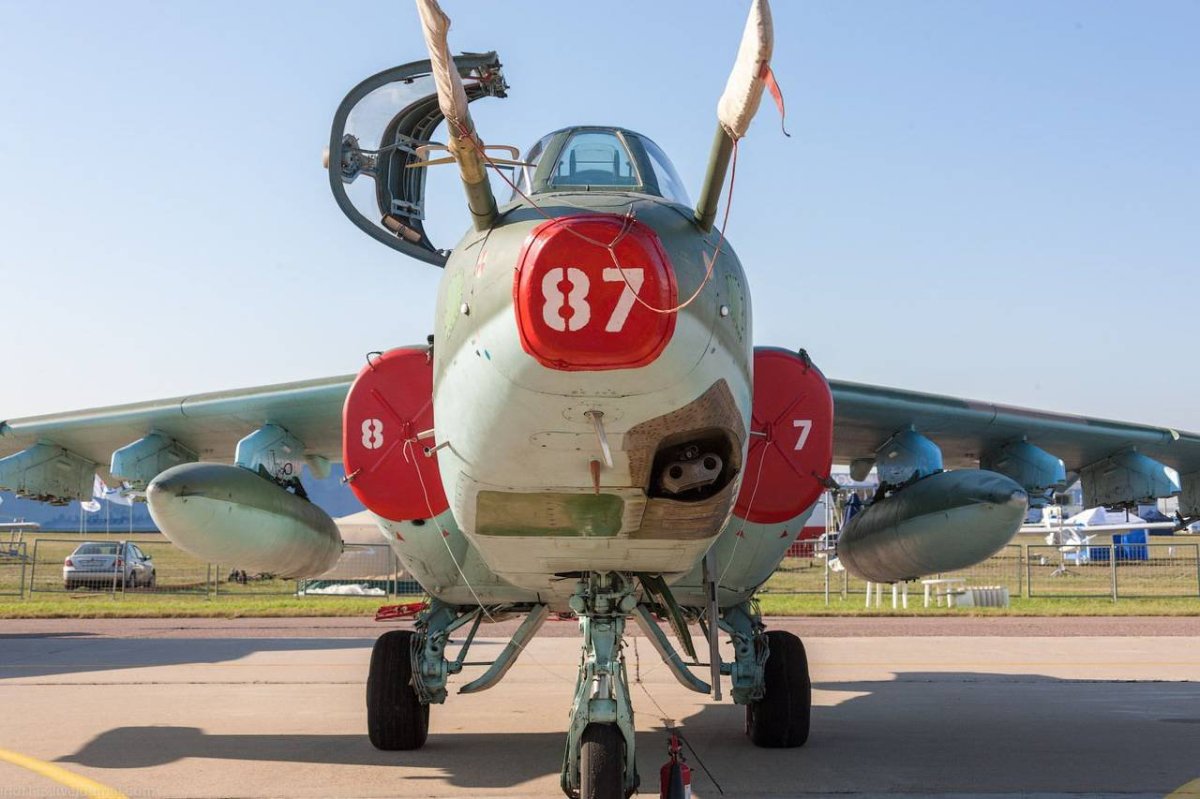 Прнк-25см "Барс"