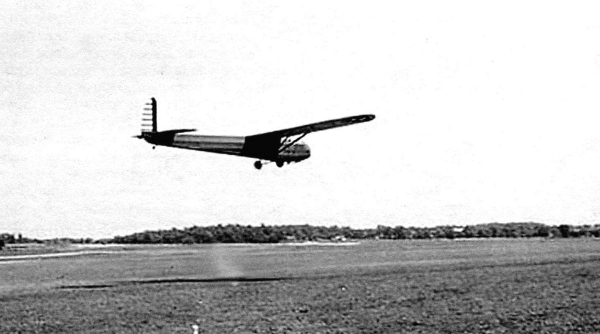 Планер янтарь