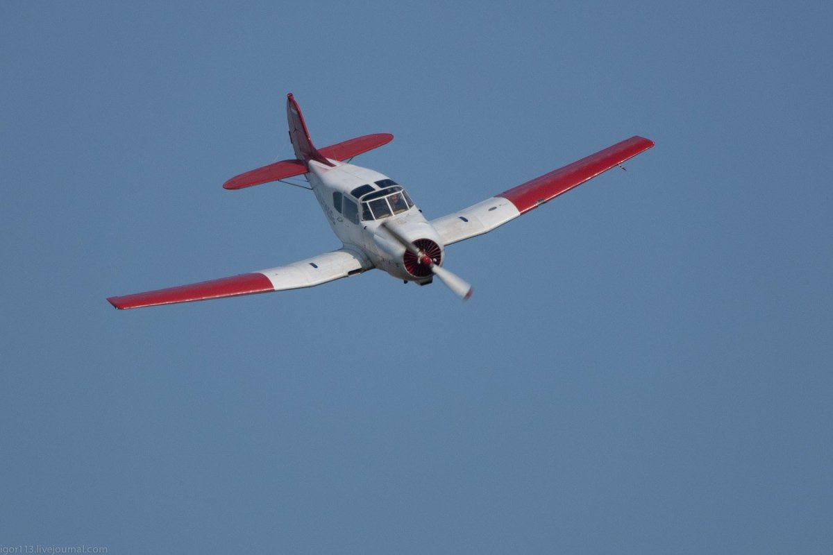 Янтарь стандарт