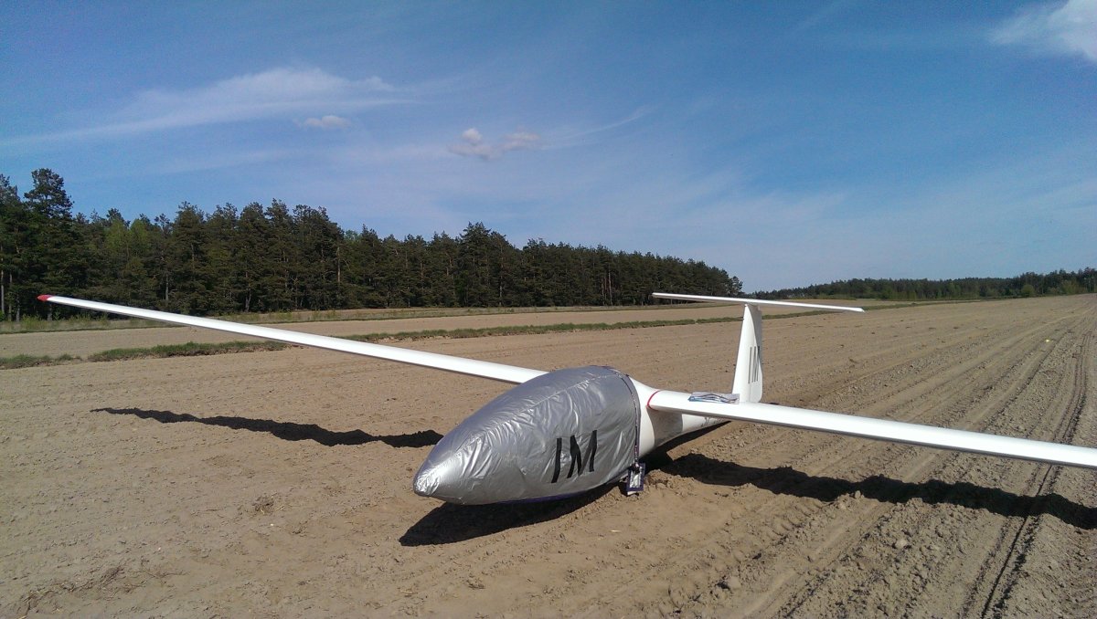 Янтарь стандарт планер