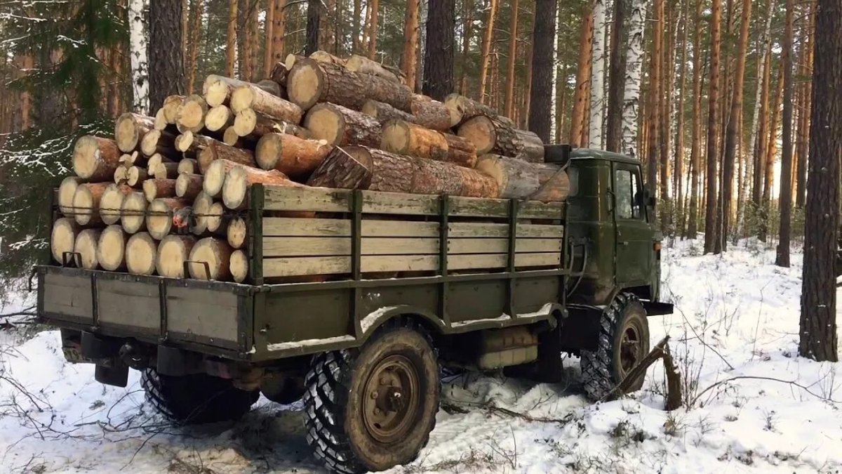 ГАЗ 66 самосвал с дровами