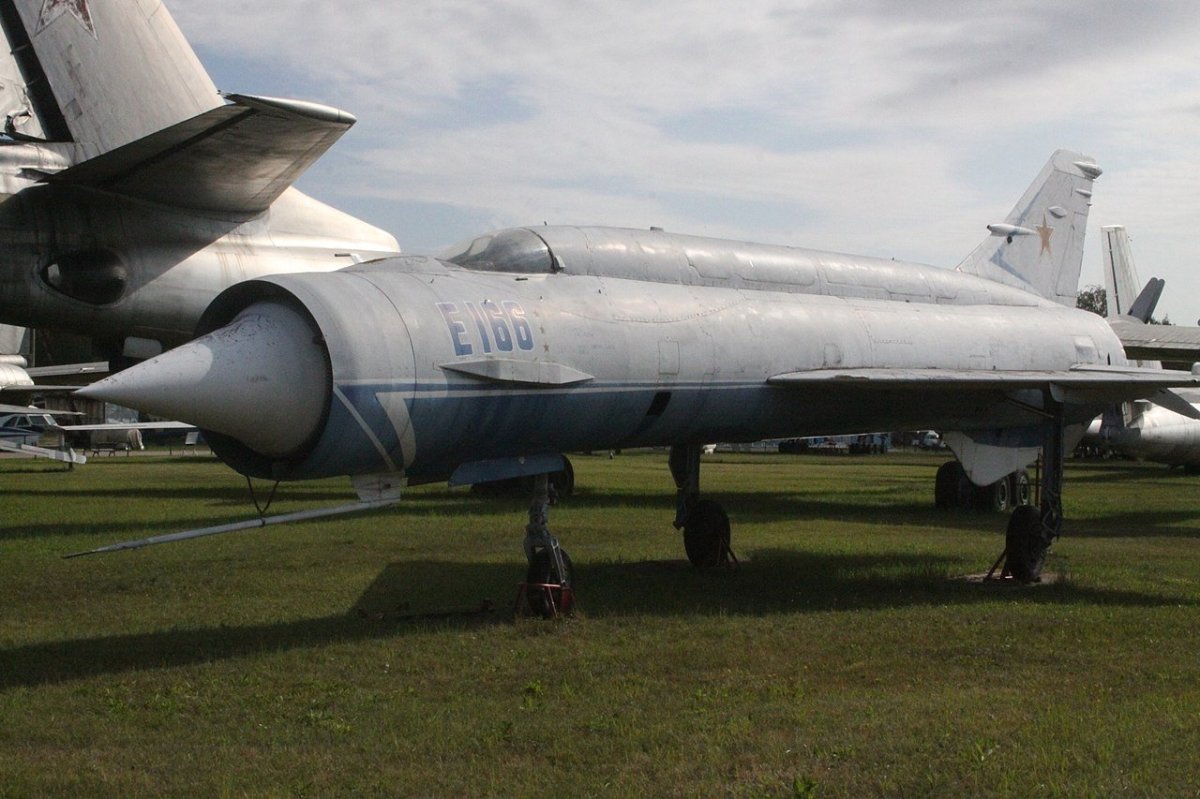 Волк в самолете