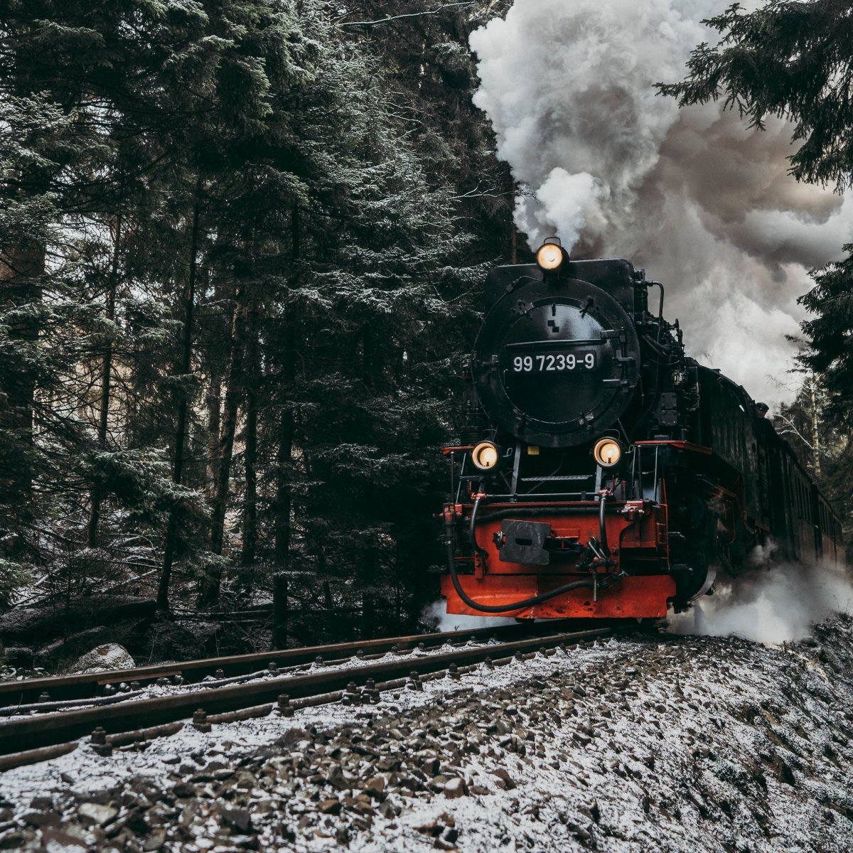 Локомотив поезд