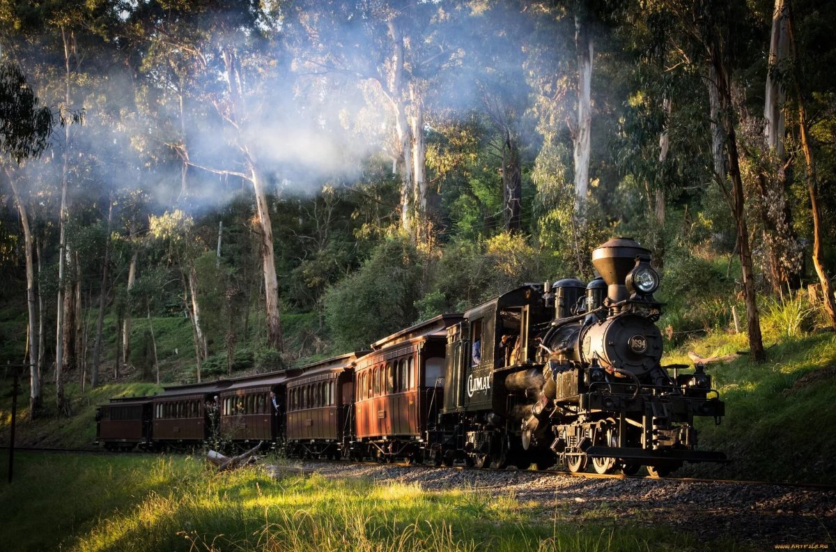 Тед Блейлок паровоз