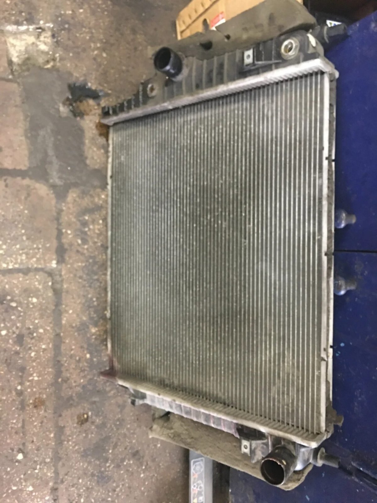 Ягуар радиатор