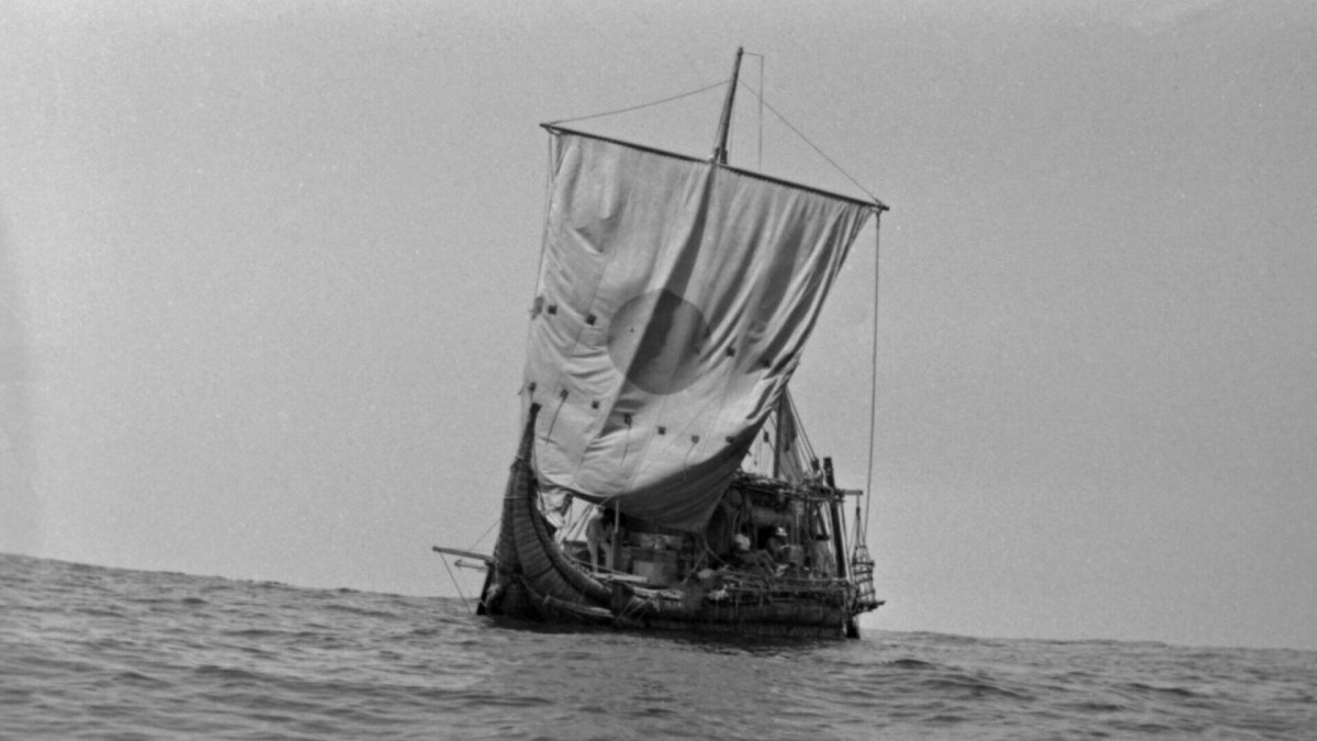 Сакр Аль бар морской ястреб