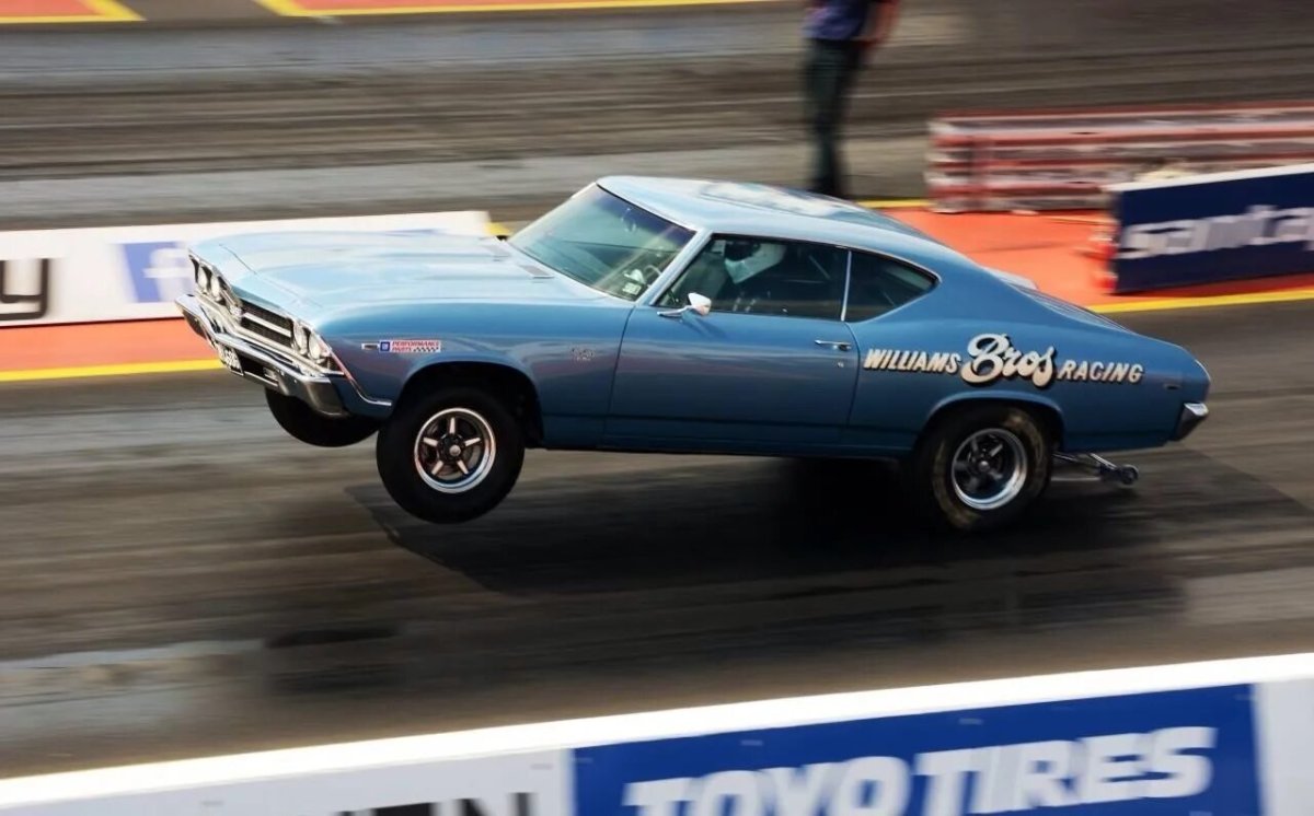 Мускул кары