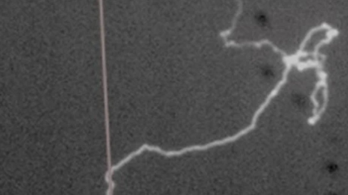 Отражает молнию