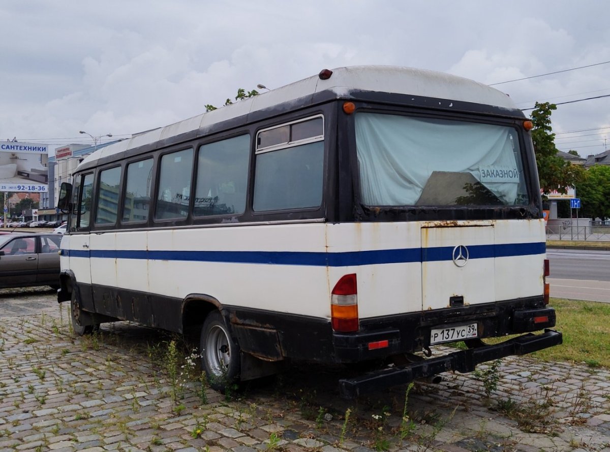 Автобусный транспорт