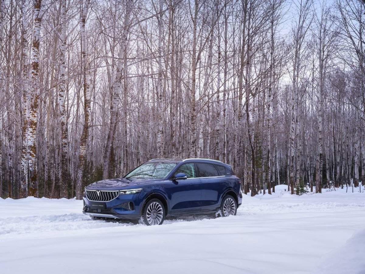 Электрокроссовер voyah