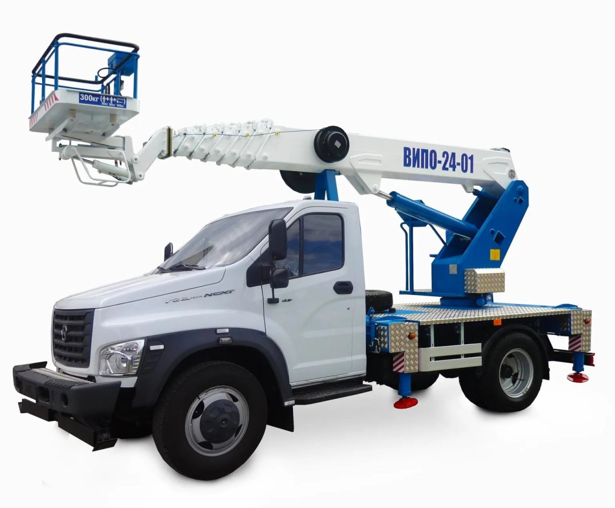 ВИПО 24 01 газон Некст