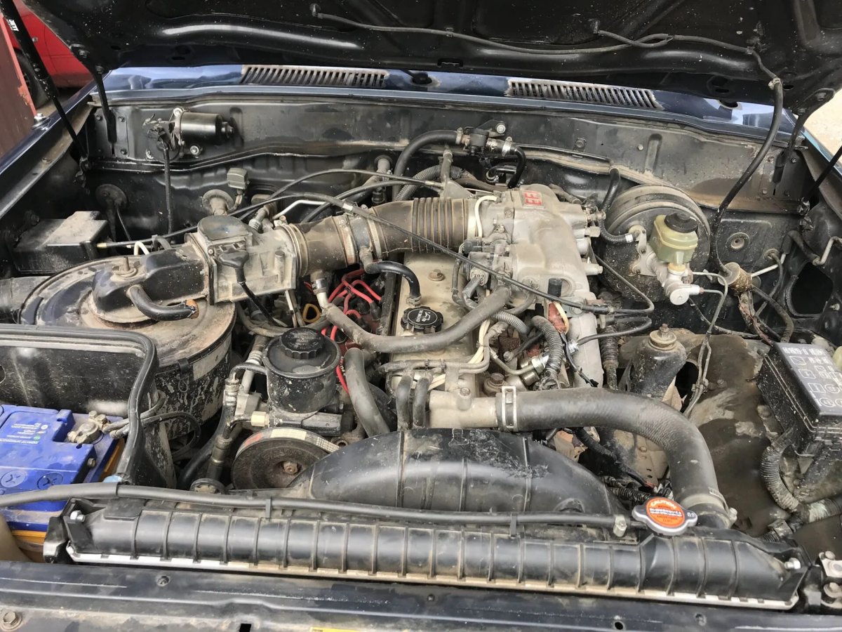 Студентка на Land Cruiser 80