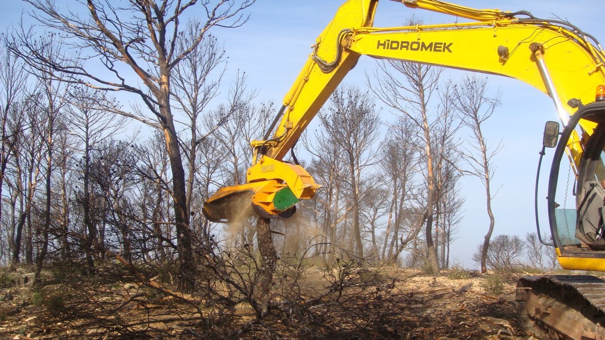 Мульчер на экскаватор купить цена