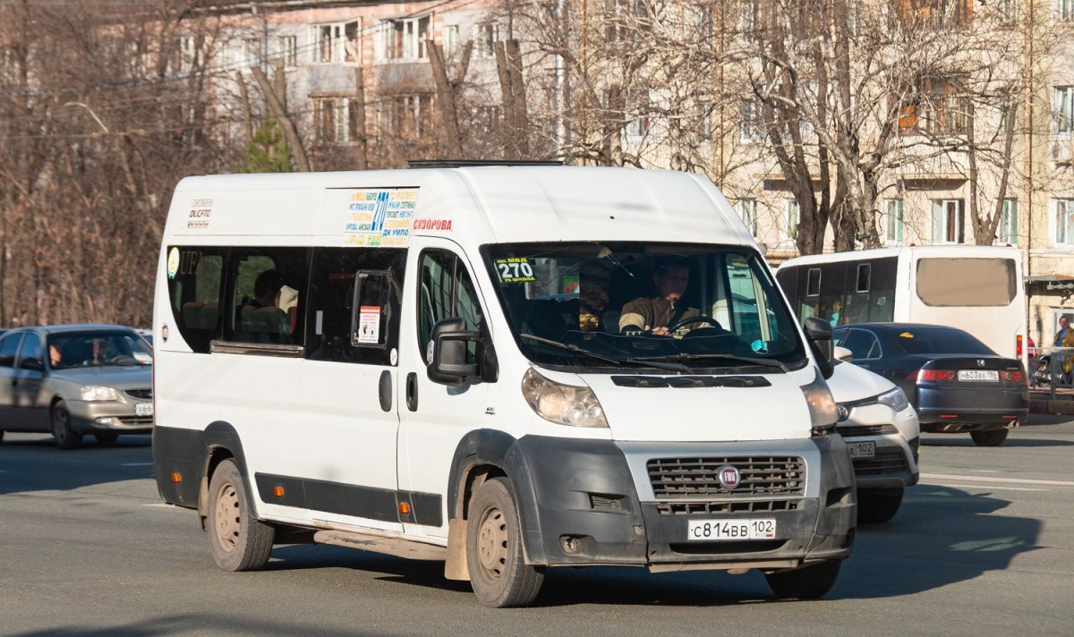 Маршрутка Фиат