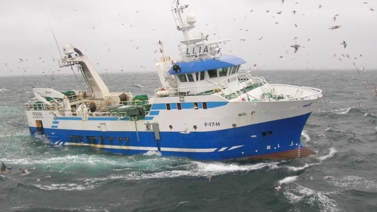 Траулер w50 Wartsila ship Design