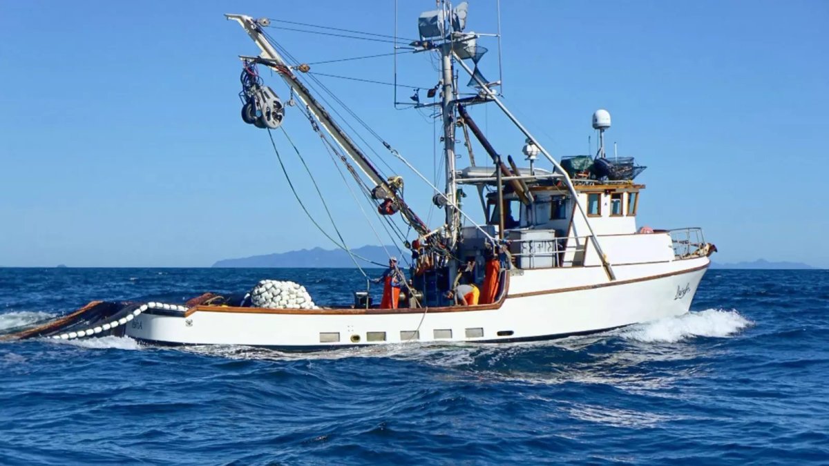 Сейнеры и Траулеры