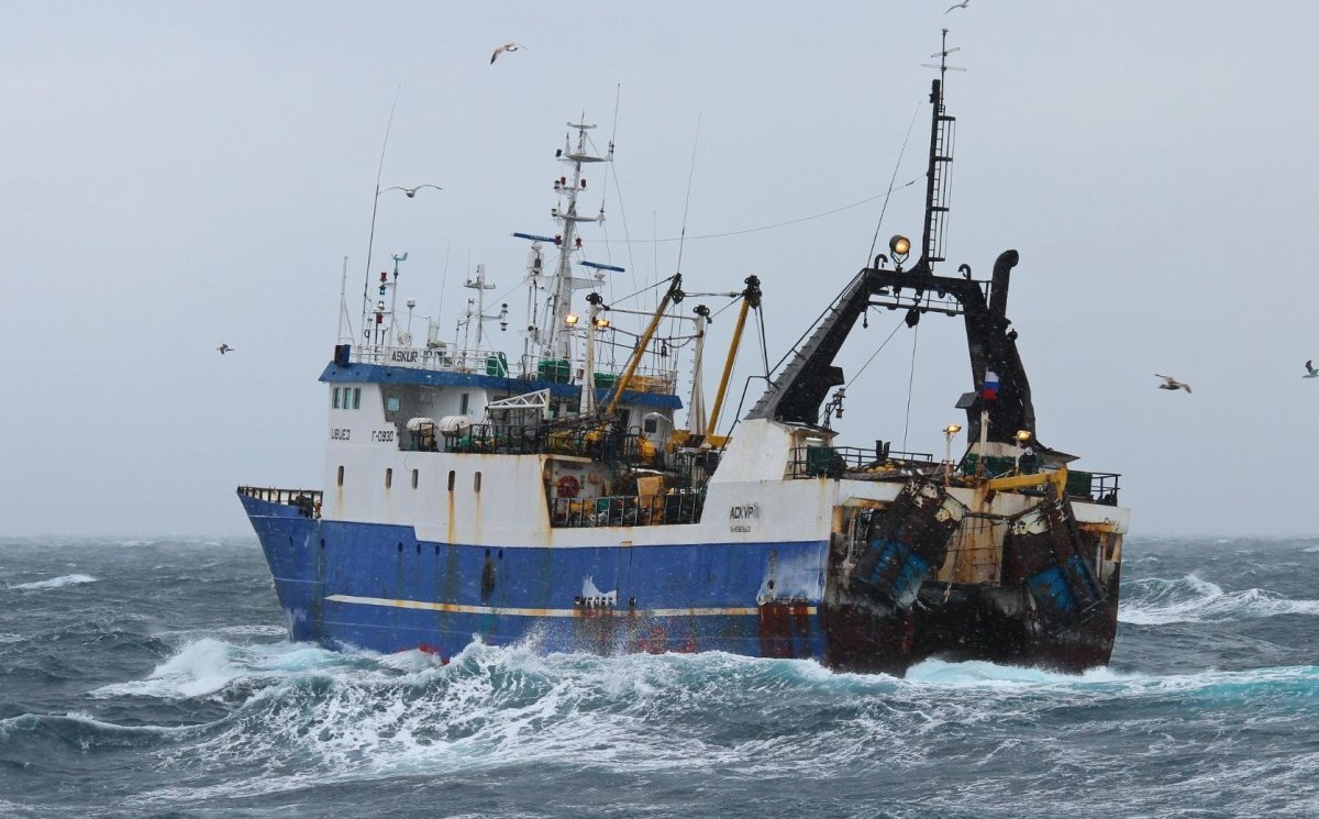 Траулер Таурус