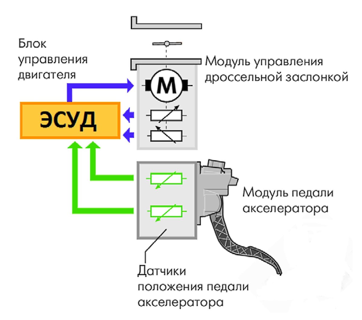 Схема соединения дроссельной заслонки с электронной педалью