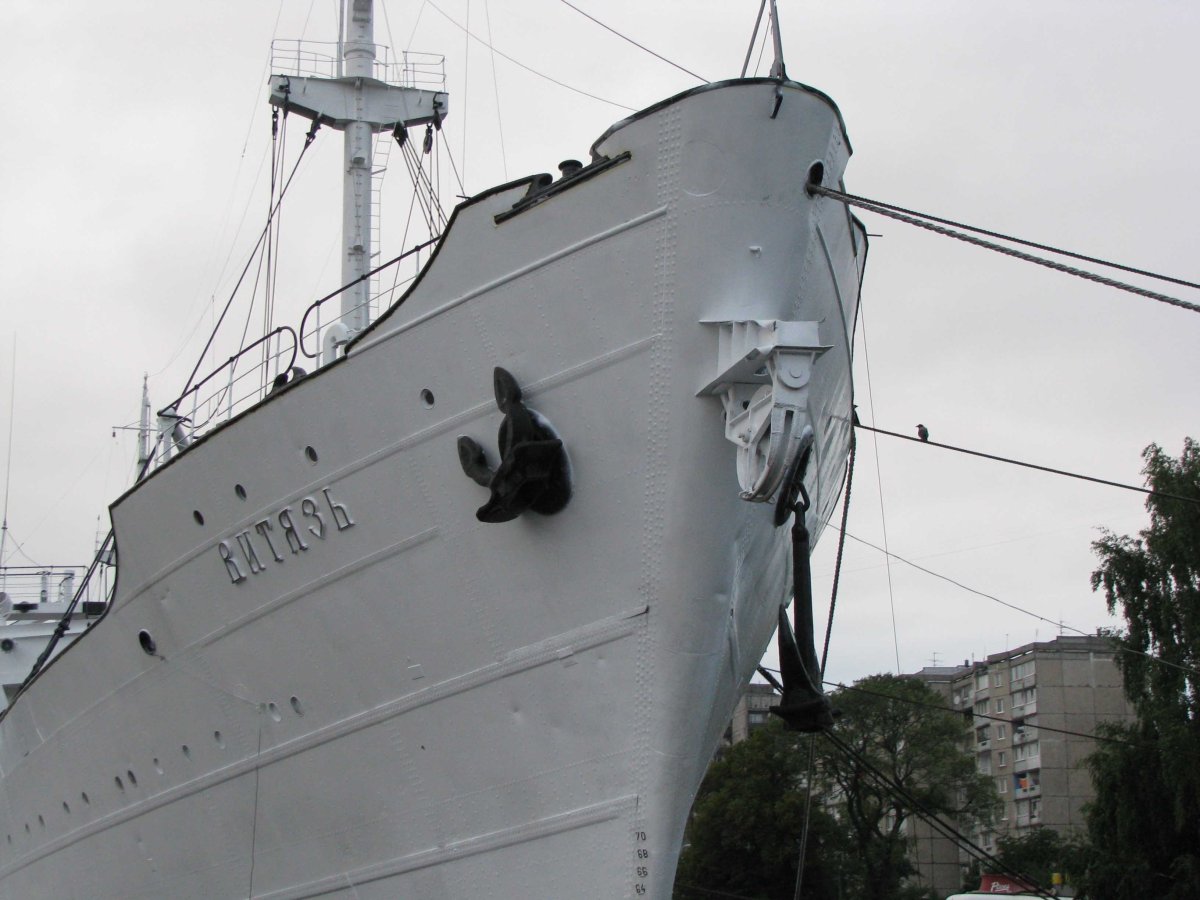 Корабль Витязь