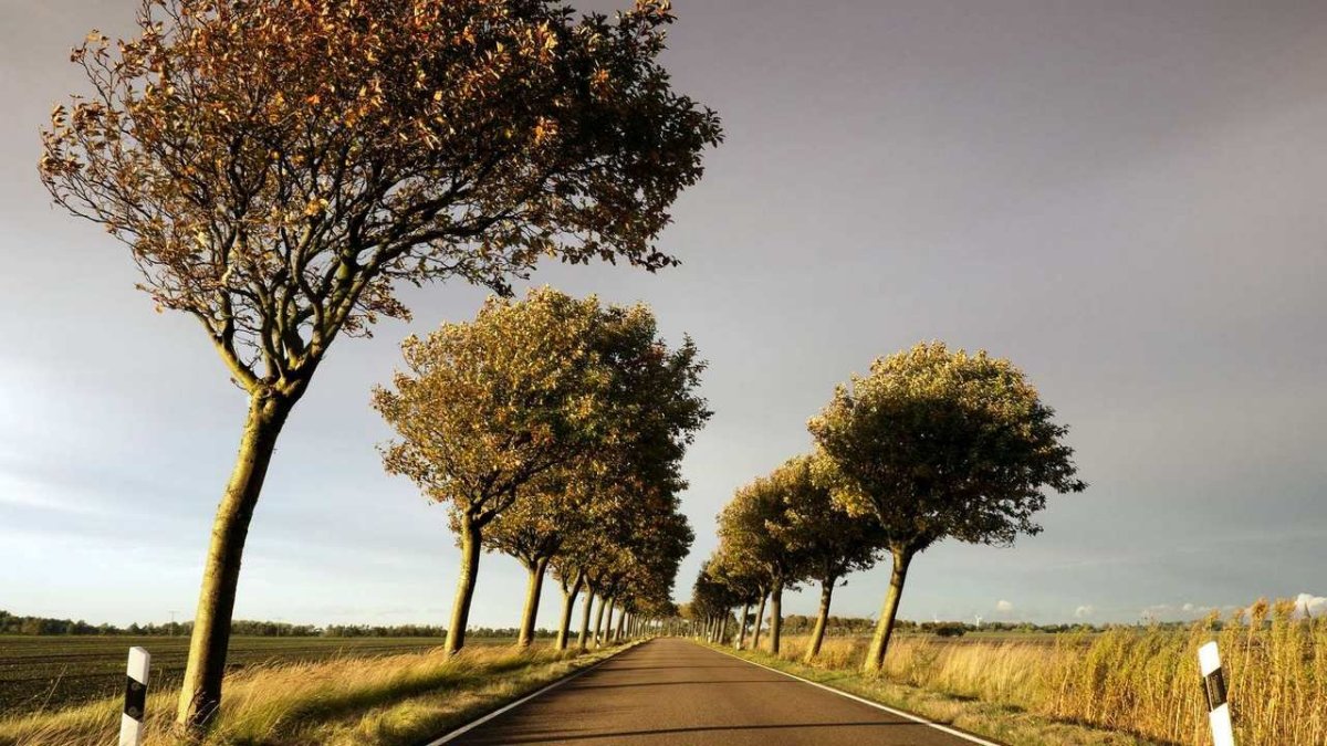 Пейзаж в перспективе