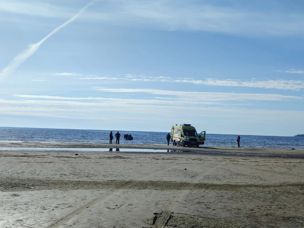 Финский залив Сосновый Бор пляж