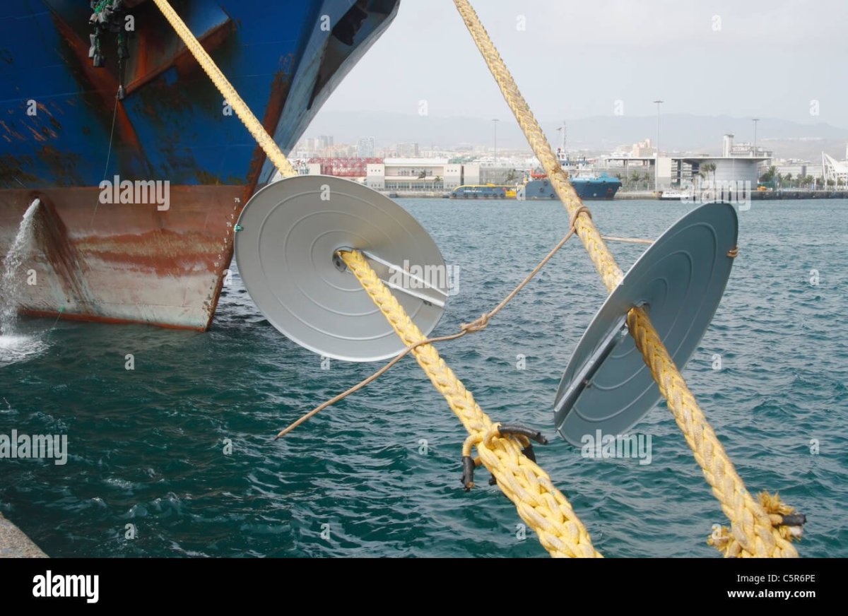 Щит противокрысиный для каната